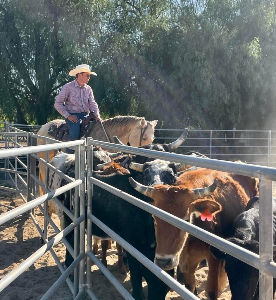K Fouad Working Cows at Ranch in Ojai
